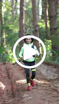 BIB:  <button type="button" onclick="openModal(26569806)" class="btn btn-primary btn-sm float-right" data-toggle="modal" data-target=".modal-high-quality">
                <i class="fa fa-download"></i> Download
                </button>